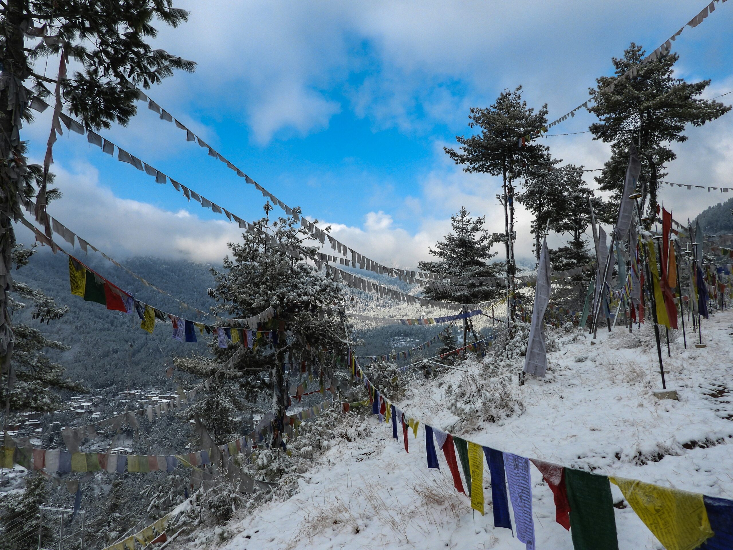 pema-gyamtsho-upCO6fqgFgM-unsplash