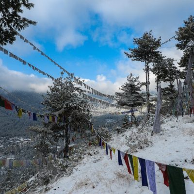 pema-gyamtsho-upCO6fqgFgM-unsplash