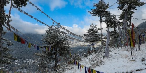 pema-gyamtsho-upCO6fqgFgM-unsplash